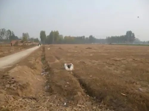 买地皮是永久的吗