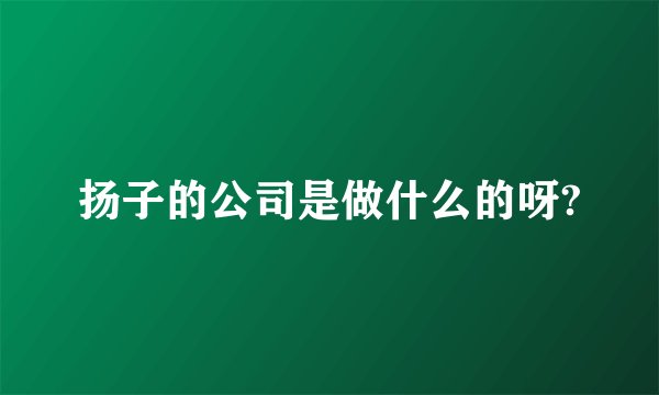 扬子的公司是做什么的呀?
