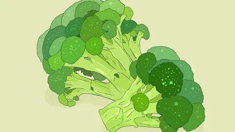 中度脂肪肝如何进行食疗