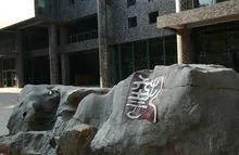 吉林艺术学院是几本？