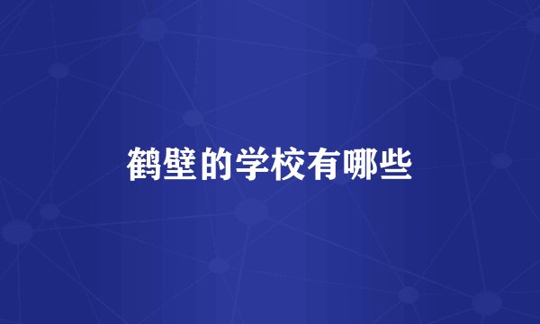 鹤壁的学校有哪些