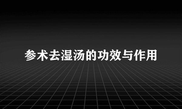 参术去湿汤的功效与作用