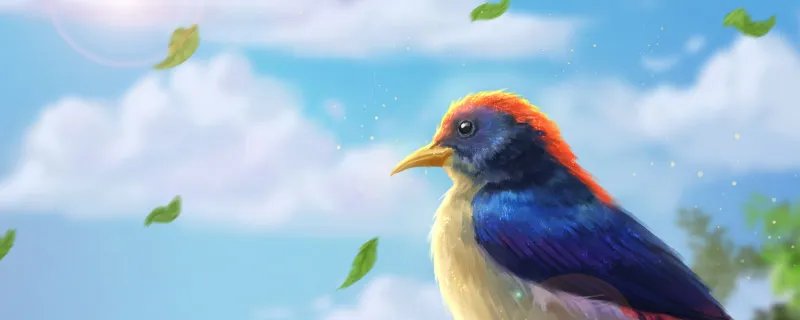 哪些是益鸟 益鸟有哪些