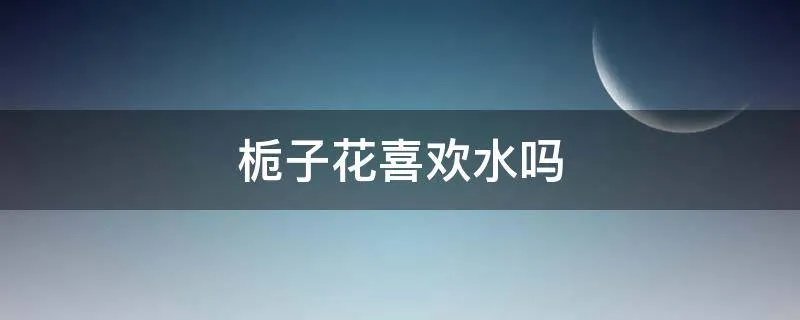 栀子花喜欢水吗