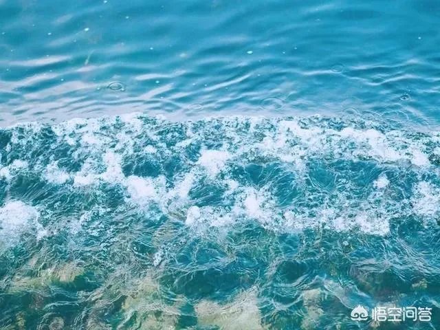 威海比日照如何，哪个更好玩？