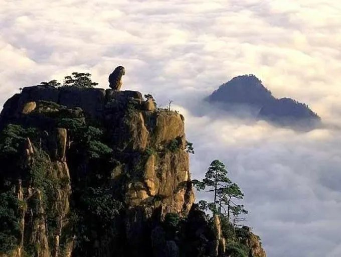 猴子观海就像什么