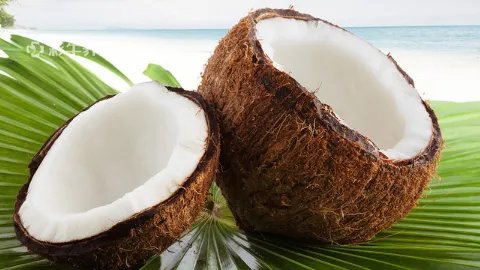 椰肉的功效与作用禁忌