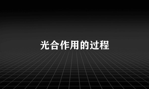 光合作用的过程