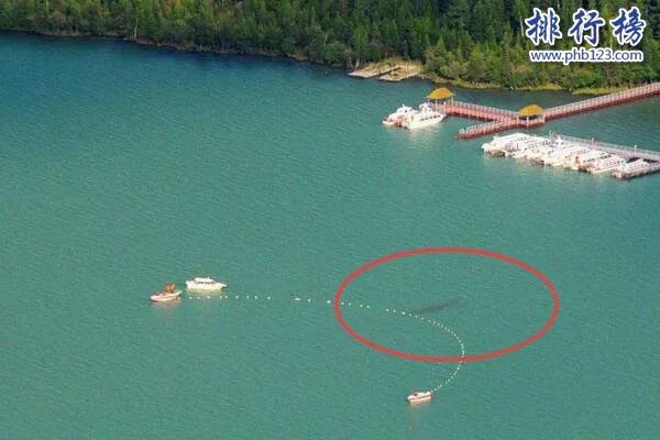 新疆喀纳斯湖水怪之谜真相大白,疑似15米32吨的巨型哲罗鲑(视频)