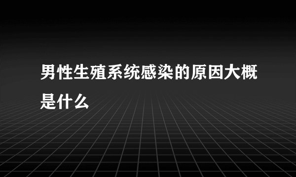 男性生殖系统感染的原因大概是什么