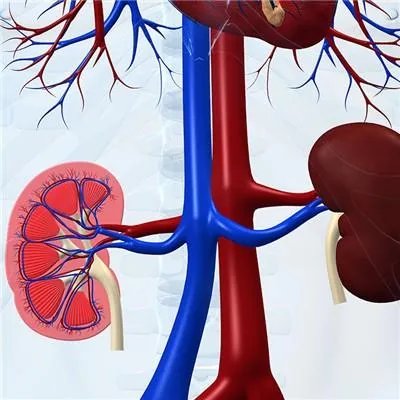 复能肾病医院怎么样