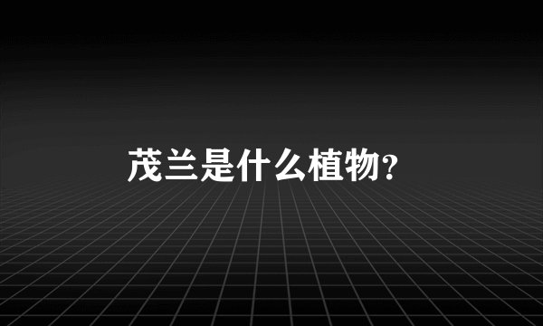 茂兰是什么植物？