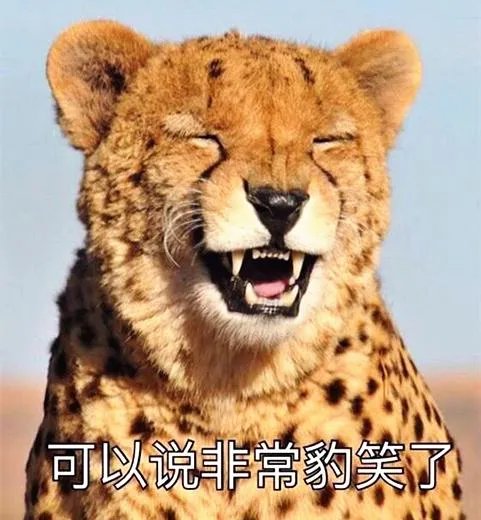 史上最皮的皮肤！哞利斯塔敲钟太贱啦