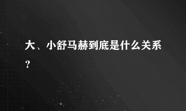 大、小舒马赫到底是什么关系？
