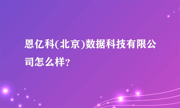 恩亿科(北京)数据科技有限公司怎么样？