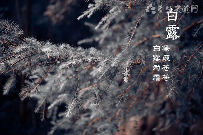 美瞳哪个品牌舒适度高 什么牌子的美瞳最舒适