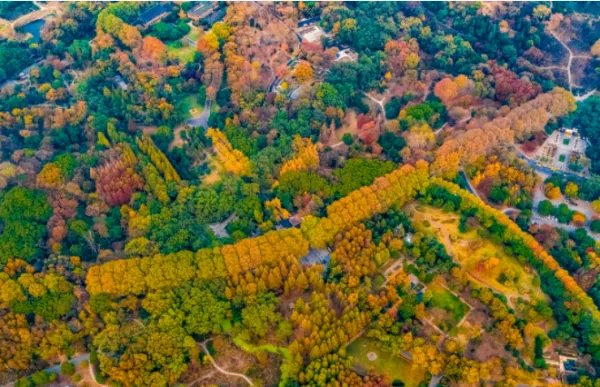 南京好玩的地方排行榜前十名