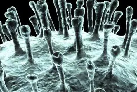 2020年法定节假日时间表