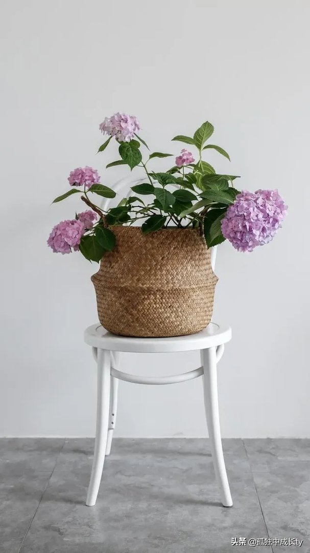 南充人事考试中心