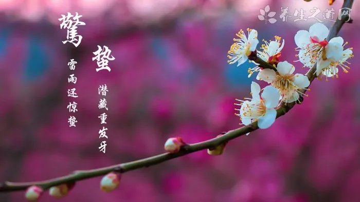 夏季中医养生之道