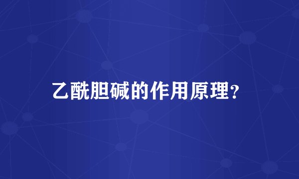 乙酰胆碱的作用原理？