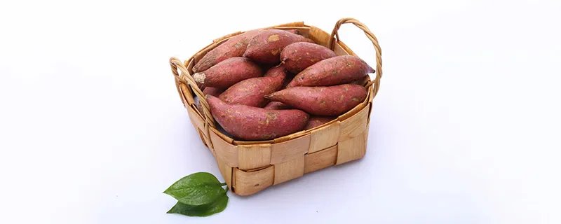 红苕是什么 红苕是哪个东西别称