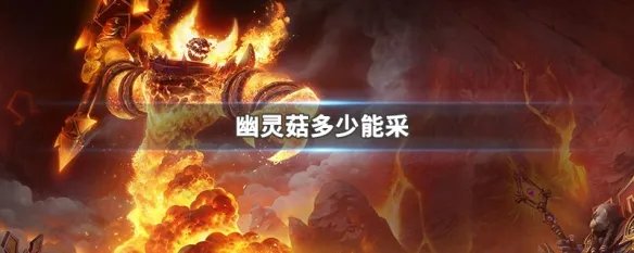 幽灵菇多少能采