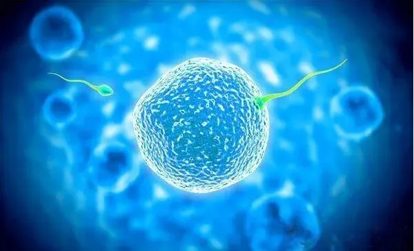 试管供卵试管是什么意思-代助孕要多少钱? 国内代助孕费用排名?