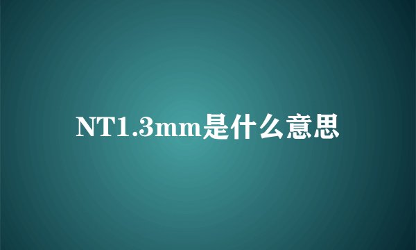 NT1.3mm是什么意思