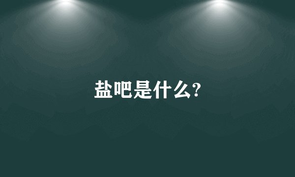 盐吧是什么?