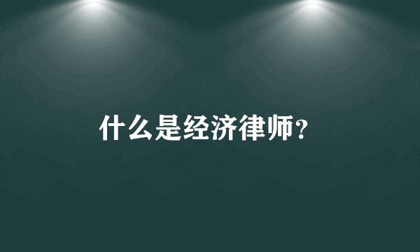 什么是经济律师？