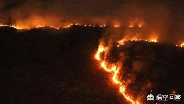 经常听到美国加州大火，烧一个多星期都灭不了，而中国怎么没有听说过有这样大火呢？
