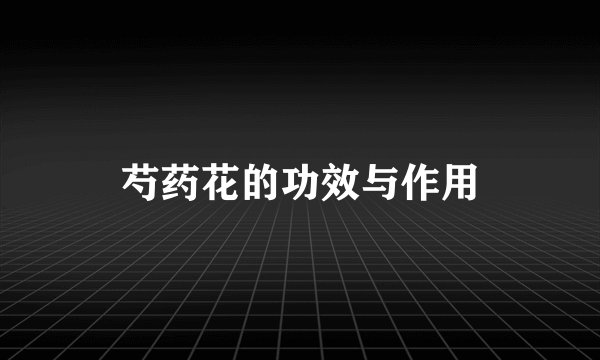 芍药花的功效与作用