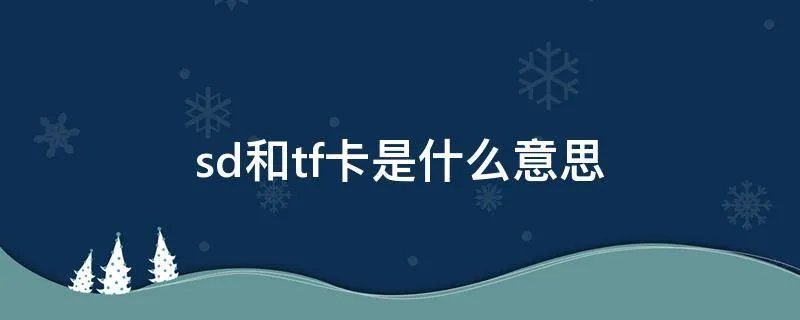 sd和tf卡是什么意思