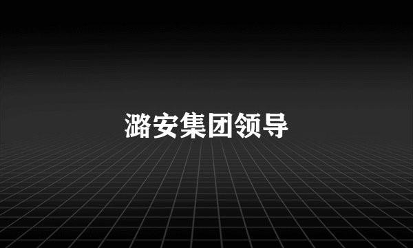 潞安集团领导