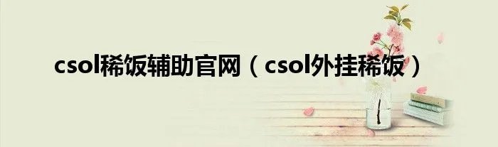 csol稀饭辅助官网（csol外挂稀饭）