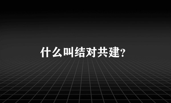 什么叫结对共建？