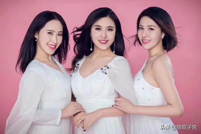 中国乐队组合有哪些