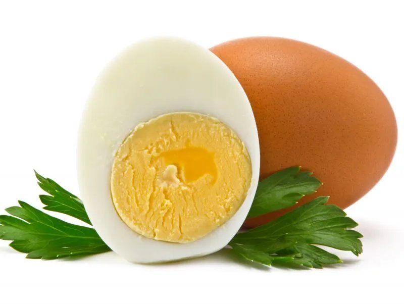 绿壳鸡蛋的营养价值