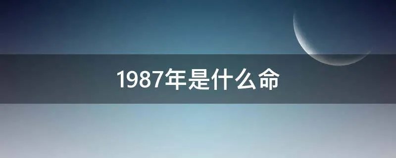 1987年是什么命