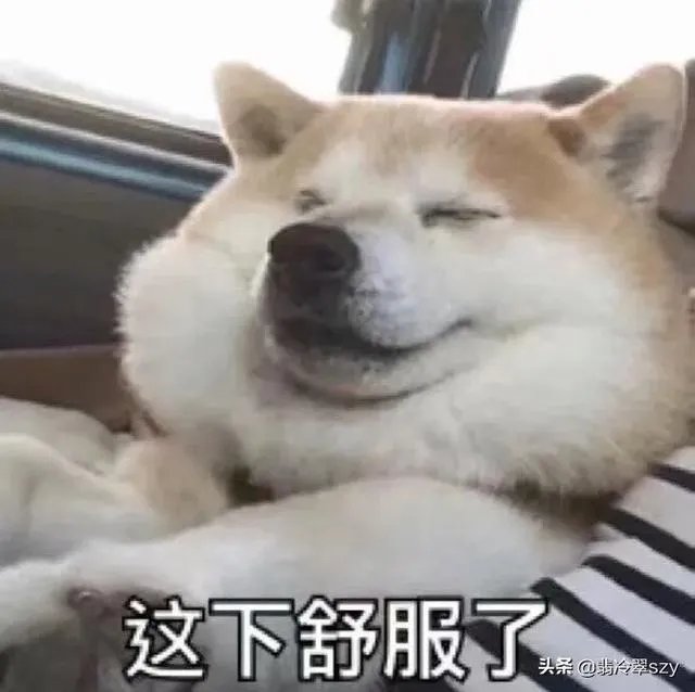 英雄联盟老鼠哪个皮肤手感好？