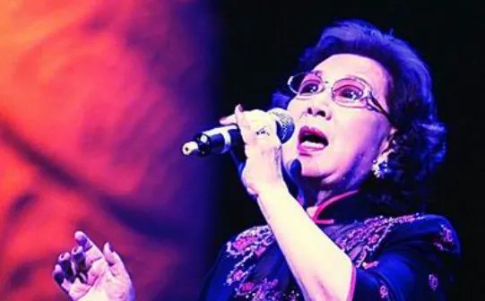 歌曲我有一段情简介