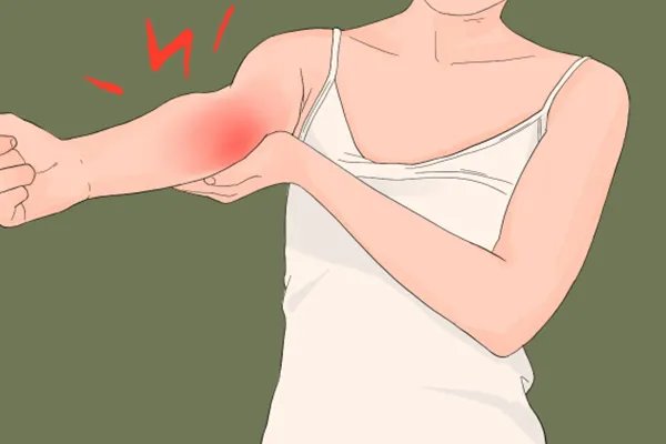 羌活的作用与功效