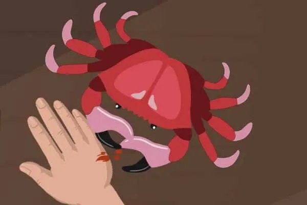 死了的大闸蟹还能吃吗