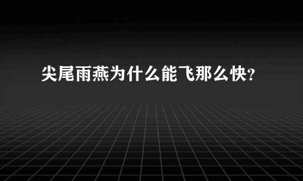 尖尾雨燕为什么能飞那么快？