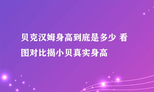 贝克汉姆身高到底是多少 看图对比揭小贝真实身高