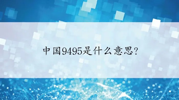 中国9495是什么意思？