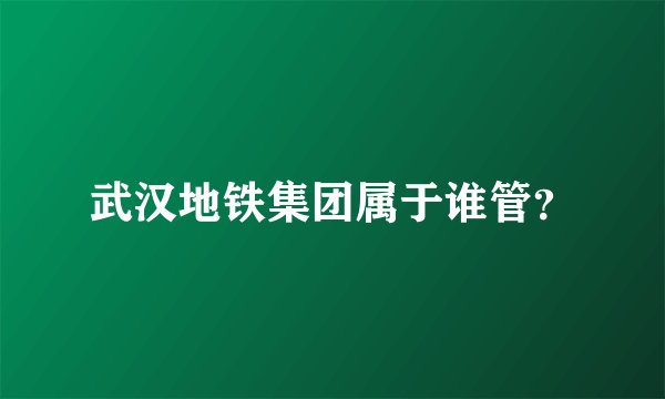 武汉地铁集团属于谁管？