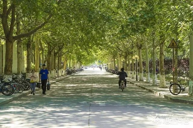 位于淄博的山东理工大学好不好，是一所什么档次的大学？