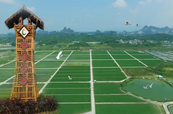 粮食股票有哪些